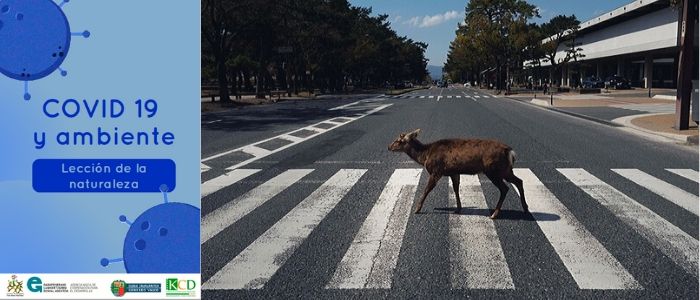 COVID-19  y ambiente: La lección de la naturaleza