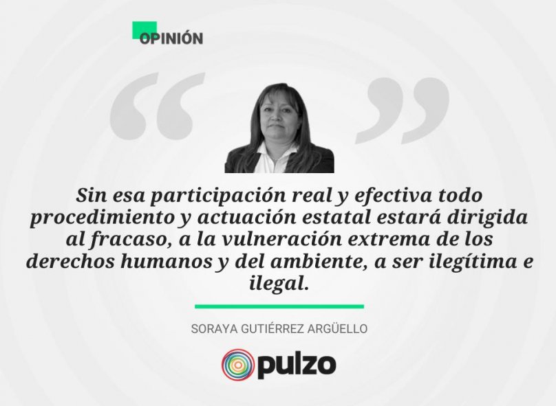 Aspersiones aéreas y un Estado que no garantiza los derechos