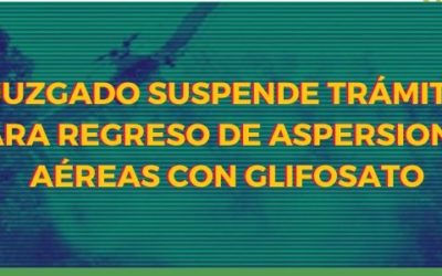 Juzgado suspende trámite para regreso  de aspersiones aéreas con glifosato