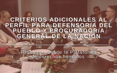 Criterios adicionales al perfil para Defensor/a del Pueblo y Procurador/a General de la Nación