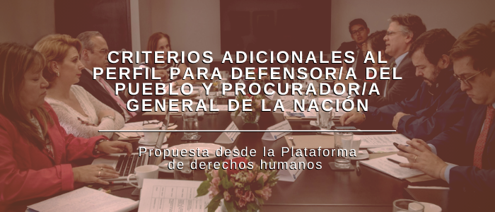 Criterios adicionales al perfil para Defensor/a del Pueblo y Procurador/a General de la Nación