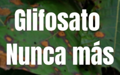 Gobierno Duque insiste en reanudar aspersiones con Glifosato desconociendo fallo de tutela