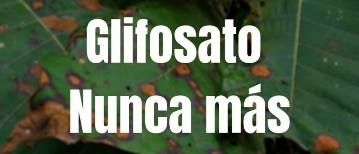 Gobierno Duque insiste en reanudar aspersiones con Glifosato desconociendo fallo de tutela