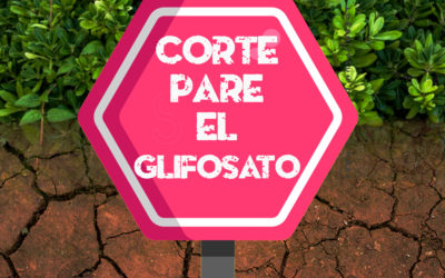 Solicitamos a la Corte Constitucional suspender el permiso ambiental  para la retoma de las aspersiones con Glifosato en el país