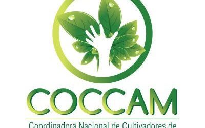Coccam rechaza decreto presidencial por el cual se reanudaría el programa de aspersiones aéreas con glifosato