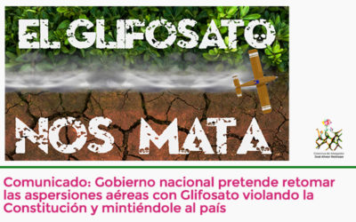 Gobierno nacional pretende retomar las aspersiones aéreas con Glifosato violando la Constitución y mintiéndole al país