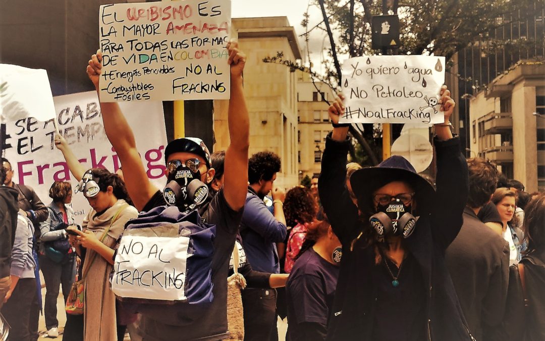 “Si perdemos la lucha ambiental, ninguna otra lucha tendrá sentido”