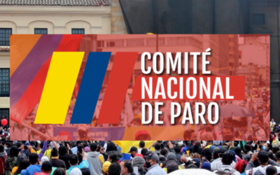 Informe de Comité Nacional de Paro a la Comisión Interamericana de Derechos Humanos