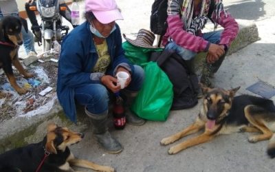 Los desterrados de siempre. Desocupan el campo en Ituango Antioquia