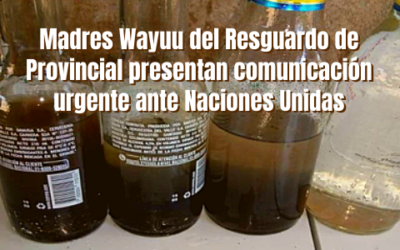 Madres Wayuu del Resguardo de Provincial presentan comunicación urgente ante Naciones Unidas