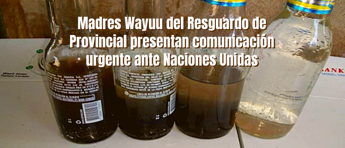 Madres Wayuu del Resguardo de Provincial presentan comunicación urgente ante Naciones Unidas