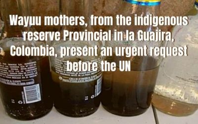 Wayuu mothers, from the indigenous reserve Provincial in la Guajira, Colombia, present an urgent request before the UN