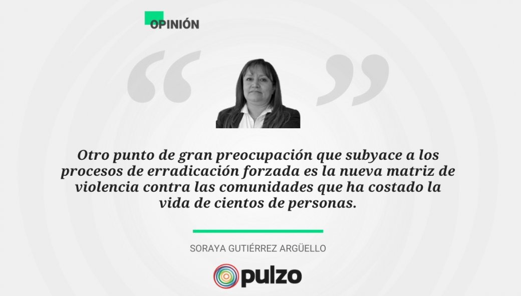 La erradicación forzada, un error más que comete el Gobierno de Duque