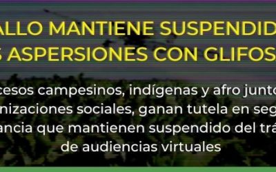 Fallo mantiene suspendidas las aspersiones con Glifosato