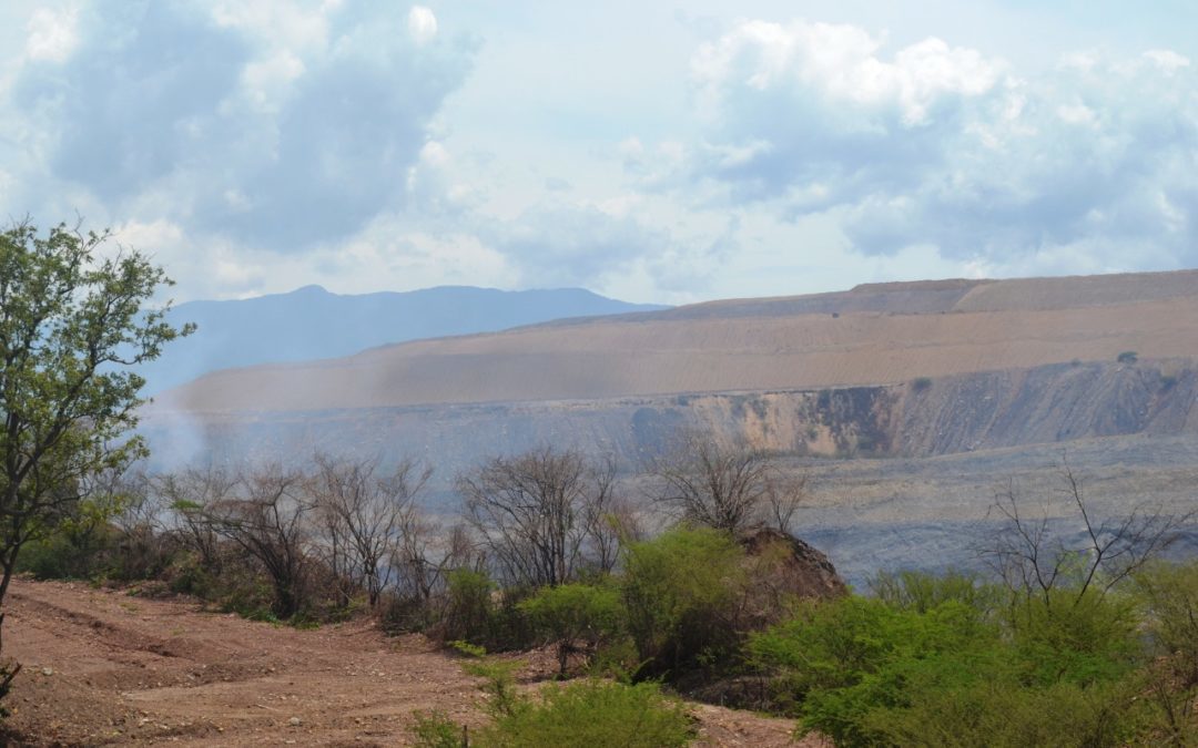 We ask the Court to review the tutela on mining impact studies in Guajira