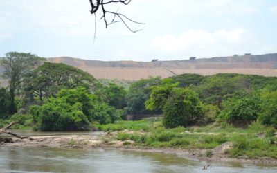 Alerta urgente: Gobierno avala la destrucción del arroyo Bruno