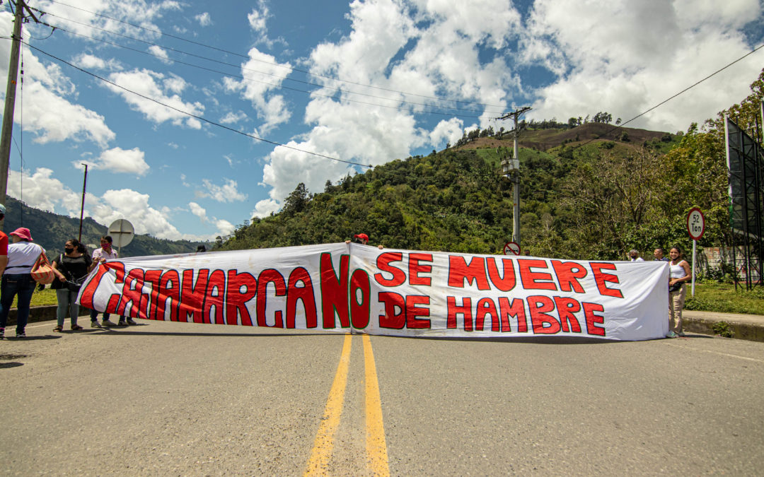 Organizations ask State Council to uphold suspension of environmental permits for La Colosa mine