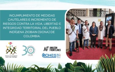Incumplimiento de medidas cautelares e incremento de riesgos contra la vida, libertad e integridad territorial del Pueblo indígena ZioBain (Siona) de Colombia.