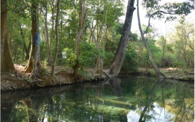 ¿Una nueva mina de carbón en La Guajira en tiempos de descarbonización?