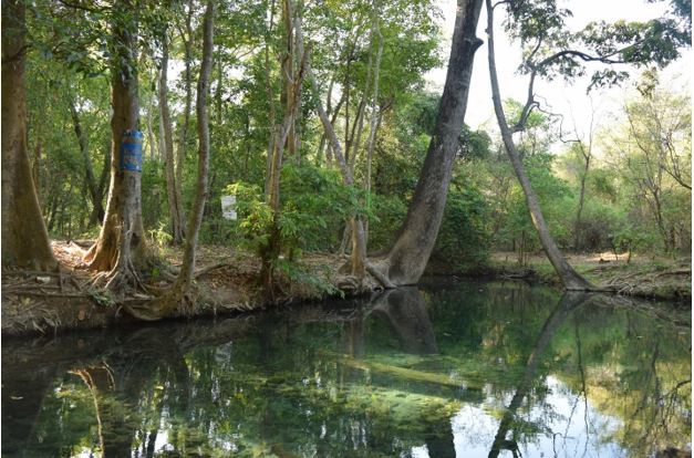 ¿Una nueva mina de carbón en La Guajira en tiempos de descarbonización?