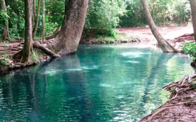 Visita a Colombia: REDESCA observa serios desafíos para la garantía de los DESCA en La Guajira