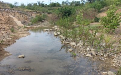 Agua y vida para La Guajira