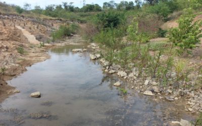 Agua y vida para La Guajira
