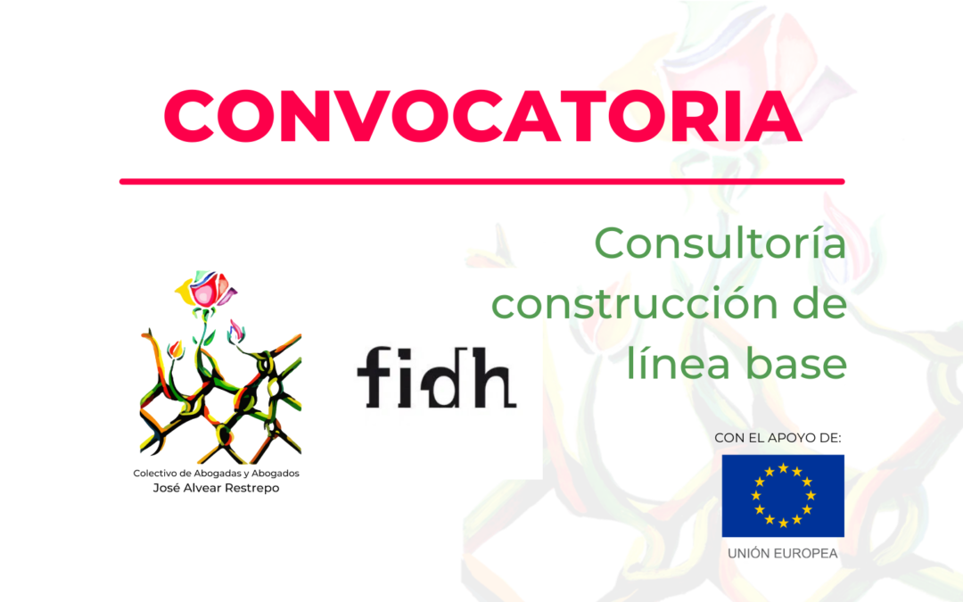 Convocatoria consultoría construcción de línea base