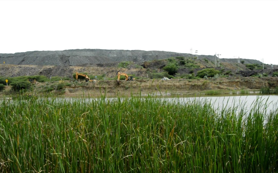 Tribunal ordena al gobierno adoptar medidas concretas para cumplir los compromisos climáticos del país