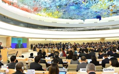 Comunicado Plataforma DHESCA- Plataformas de derechos humanos reconocemos resolución del Consejo de Derechos Humanos de la ONU para fortalecer la garantía de los derechos humanos y la construcción de paz en Colombia