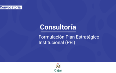 Términos de referencia para consultoría para formular el Plan Estratégico Institucional (PEI) del Colectivo de Abogados y Abogadas José Alvear Restrepo (Cajar)