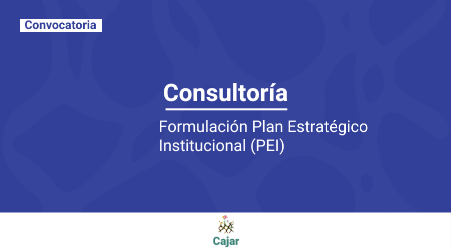 Términos de referencia para consultoría para formular el Plan Estratégico Institucional (PEI) del Colectivo de Abogados y Abogadas José Alvear Restrepo (Cajar)