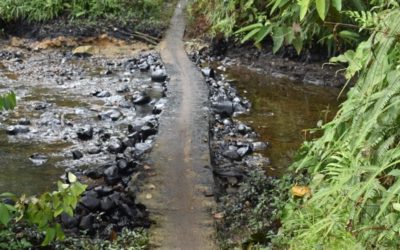 Admiten tutela del pueblo Awá contra Ecopetrol y otras Entidades por impactos causados por derrames sistemáticos de petróleo en su territorio