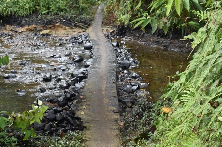 Admiten tutela del pueblo Awá contra Ecopetrol y otras Entidades por impactos causados por derrames sistemáticos de petróleo en su territorio