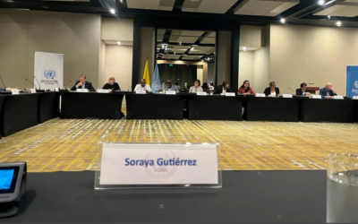 Intervención de las organizaciones y plataformas de derechos humanos con ocasión de la 3ª visita a Colombia del Consejo de Seguridad de la ONU