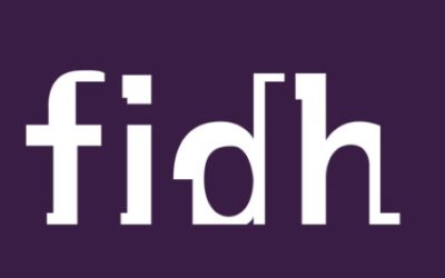 Convocatoria Federación Internacional De Derechos Humanos (Fidh) para profesional jurídica/o y administrativo/a