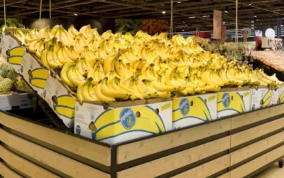Caso Chiquita Brands podría prescribir: la alerta del apoderado de la Comunidad de Paz de Apartadó