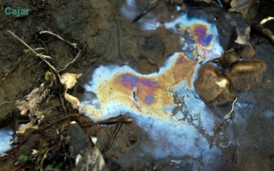 Corte Constitucional selecciona para estudio tutela del pueblo Awá contra Ecopetrol y otras Entidades por impactos causados por derrames sistemáticos de petróleo en su territorio