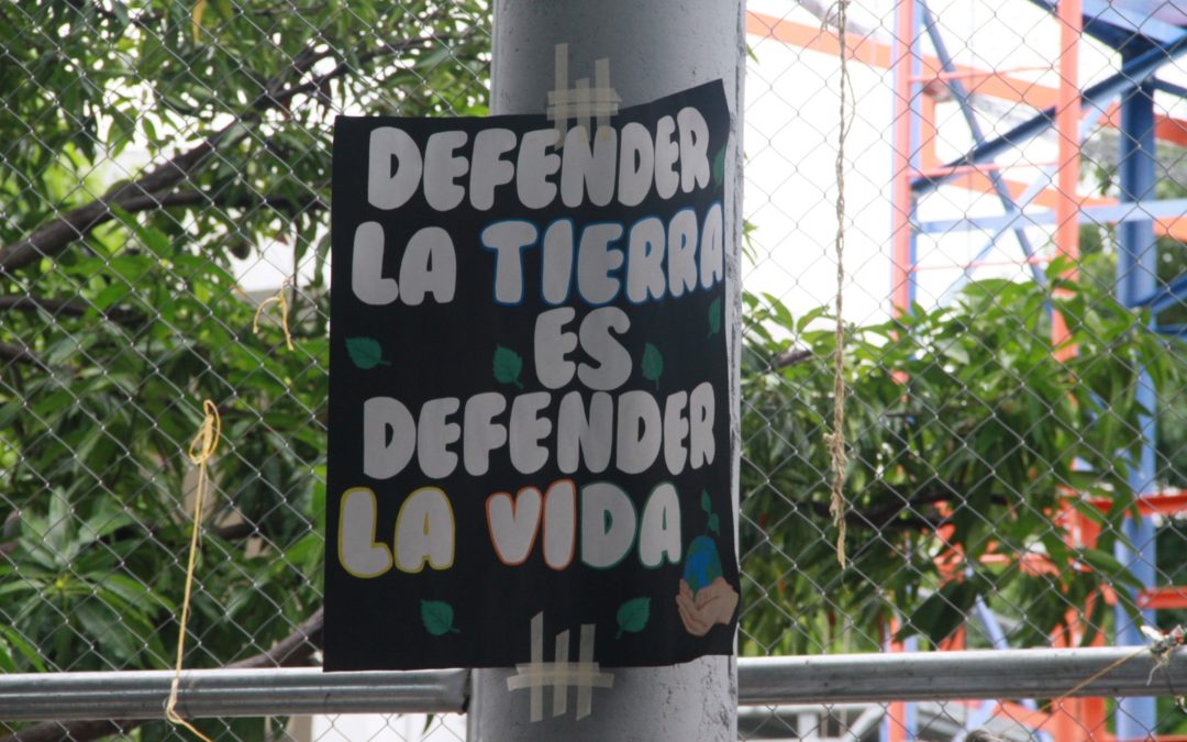 226 voces por la vida: Cañaverales defiende su manantial ante amenaza minera