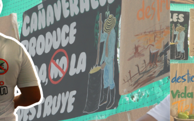 Corpoguajira debe negar licencia ambiental para la Mina Cañaverales – Concepto Técnico Legal del Cajar