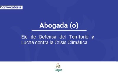 Convocatoria abogada(o) para el Eje de Defensa del Territorio y Lucha contra la Crisis Climática