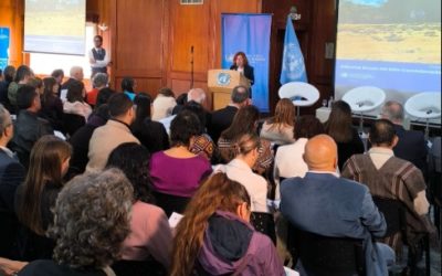 ONU presentó Informe Anual de DDHH en Colombia